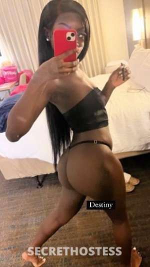 Destiny 22Yrs Old Escort Jacksonville FL Image - 1