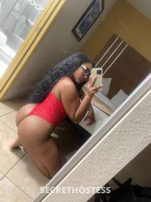 Jasmine 23Yrs Old Escort Fort Lauderdale FL Image - 7