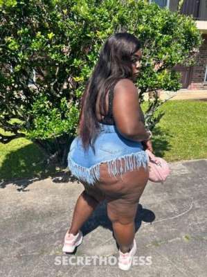 26 year old Escort in Baton Rouge LA I'm BBW with Big Juicy Dimples No Games, No Bullshit