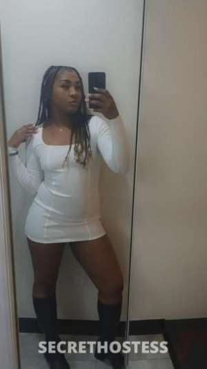 Mocha 24Yrs Old Escort Lexington KY Image - 7