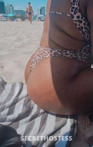 Mulaticacaliente 33Yrs Old Escort Miami FL Image - 6