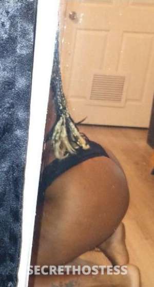 Mulaticacaliente 33Yrs Old Escort Miami FL Image - 8