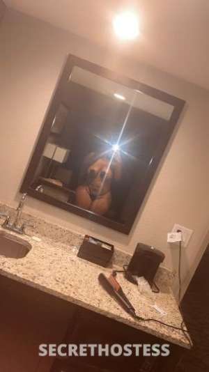 Nichole 25Yrs Old Escort Biloxi MS Image - 2