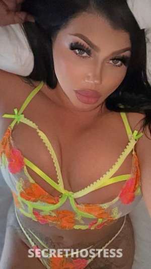 Sierra 27Yrs Old Escort San Luis Obispo CA Image - 5