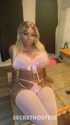 Sky 24Yrs Old Escort Pittsburgh PA Image - 2