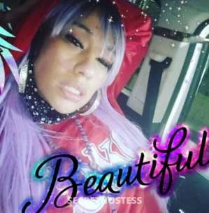 SlutMeOut 26Yrs Old Escort Houston TX Image - 0