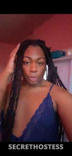 Stacyb 23Yrs Old Escort Saint Louis MO Image - 0