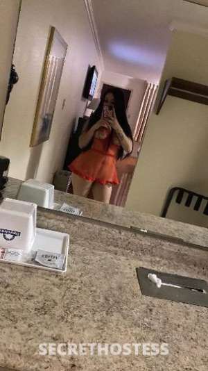 19Yrs Old Escort San Jose CA Image - 1