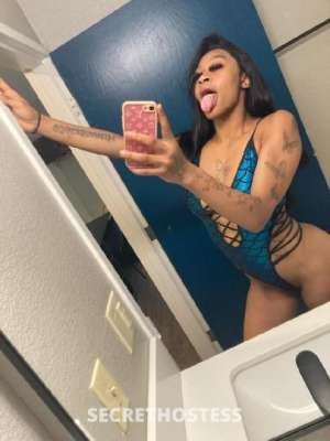 20Yrs Old Escort Indianapolis IN Image - 3