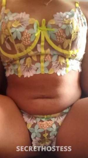 21 Year Old Caucasian Escort Tampa FL Brunette - Image 5