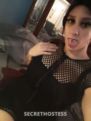 22Yrs Old Escort Tampa FL Image - 2
