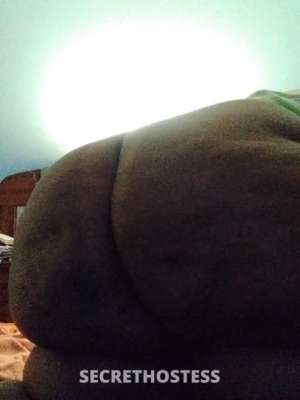 35 year old Escort in Washington DC Experience the Purple Haze Older Gents Preferred, No Greek, 