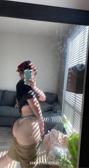 Amanda 28Yrs Old Escort Chico CA Image - 4