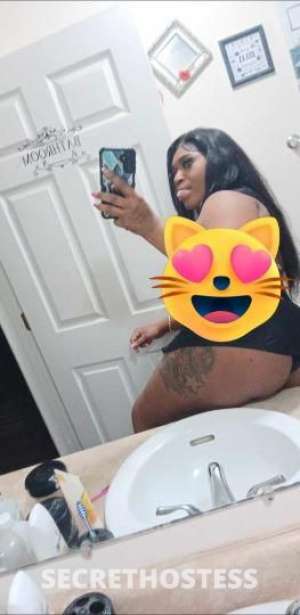 Babiidoll 28Yrs Old Escort Panama City FL Image - 0