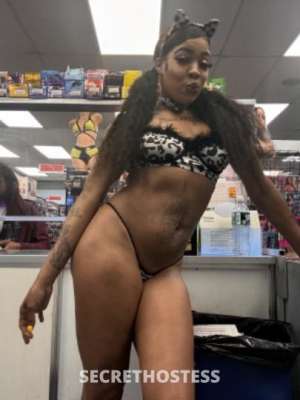 Chanel 26Yrs Old Escort Lynchburg VA Image - 2