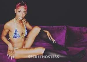 Chyna 22Yrs Old Escort San Francisco CA Image - 0