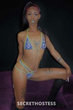 Chyna 22Yrs Old Escort San Francisco CA Image - 2