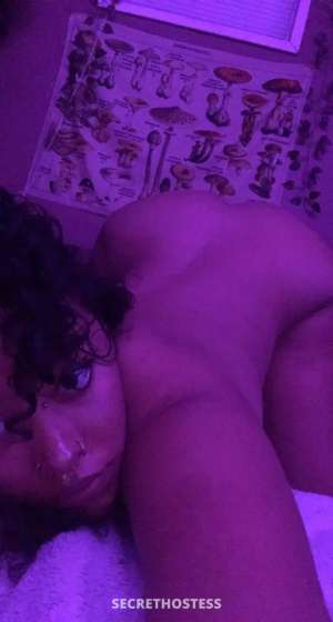 25 Year Old Escort San Antonio TX Brunette Brown eyes - Image 1