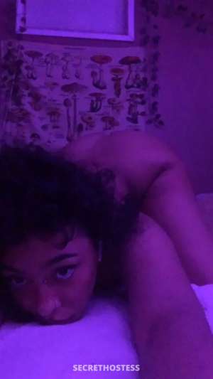 25 year old Escort in McAllen TX Unleash Your Desires Anal, Oral, and Blowjobs Without Limits