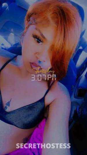 Mocha 19Yrs Old Escort Yuma AZ Image - 5