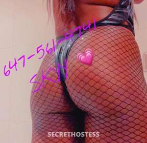 SKYY 23Yrs Old Escort Toronto Image - 1