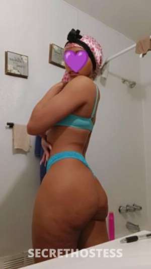 21Yrs Old Escort Ann Arbor MI Image - 1