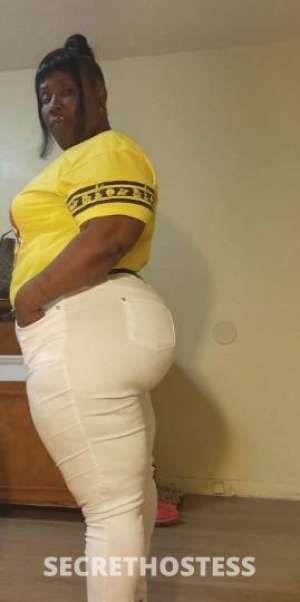 35Yrs Old Escort North Mississippi MS Image - 3