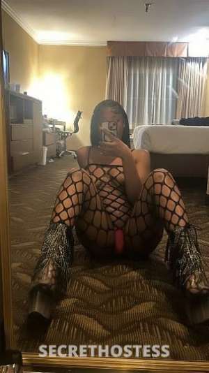 Paris 23Yrs Old Escort Long Island NY Image - 1