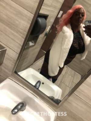 29Yrs Old Escort San Diego CA Image - 2