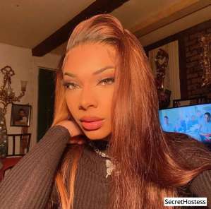 23 Year Old Escort Manhattan NY Brown Hair Brown eyes - Image 7