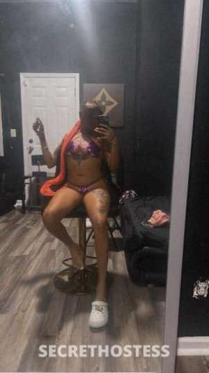 23Yrs Old Escort Ann Arbor MI Image - 0