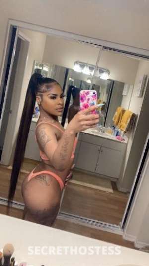 24 year old Caribbean Escort in South Jersey NJ Caribbean Cat