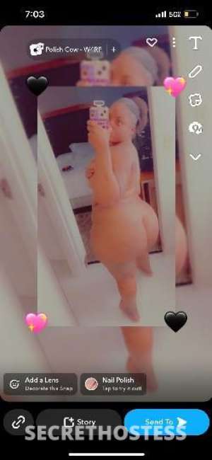 25Yrs Old Escort Tampa FL Image - 1