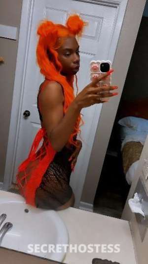 Ebony Cutie Ready to Please Discrete, Clean, and Drama-Free  in Jackson MS