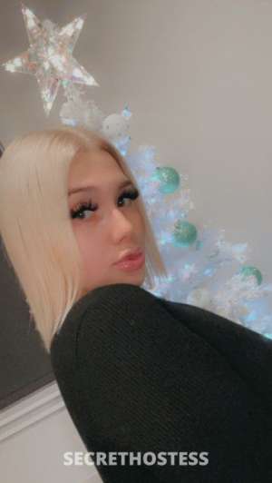24 year old Escort in Albany NY I'm Alexis, Your Fantasy Fulfiller