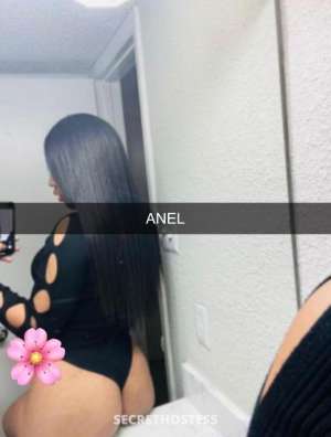 Anel Your Perfect Playmate in McAllen TX