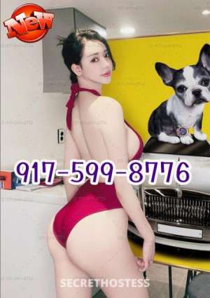 "Your Dream Lover just arrived in Sarasota in Sarasota/Bradenton