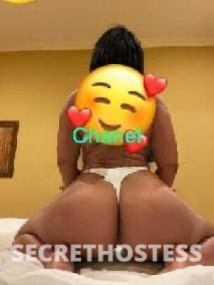 Chanel - Sultry Nalgona Outcall for You in Miami FL