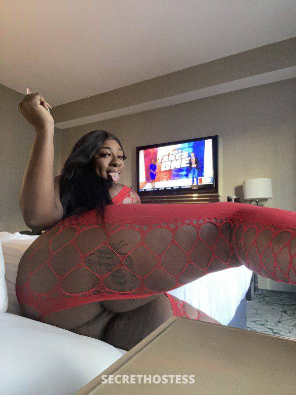 Goldie 30Yrs Old Escort Hartford CT Image - 3