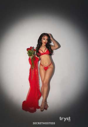 20 Year Old Escort San Francisco CA Brown Hair Brown eyes - Image 5