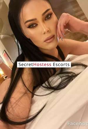 21Yrs Old Escort 46KG 173CM Tall Istanbul Image - 2