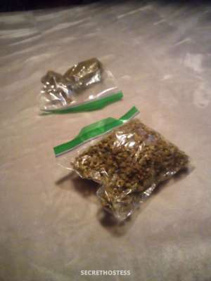 Escort Got Weed Naughty Fun & Exciting party favors in Grand Junction CO