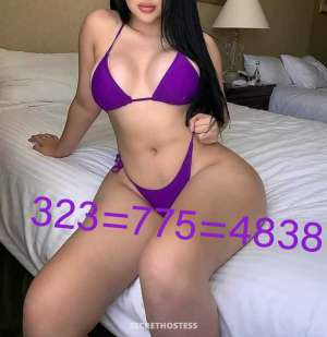 28 Year Old Brazilian Escort Los Angeles CA - Image 4