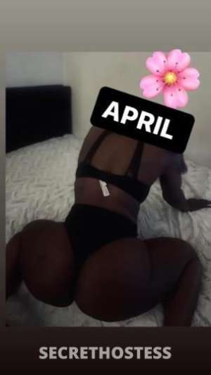 28Yrs Old Escort Brooklyn NY Image - 1