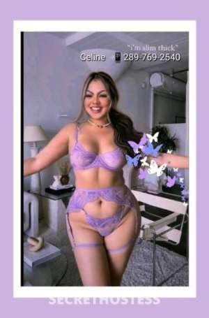 Celine 29Yrs Old Escort Hamilton Image - 2