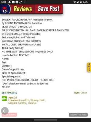 Celine 29Yrs Old Escort Hamilton Image - 3