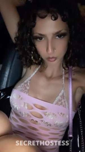 Kayla 23Yrs Old Escort Chico CA Image - 1