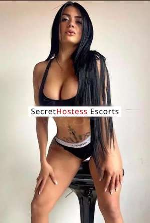 27 year old Colombian Escort in Palma Michelle's Passion Unleashing Erotic Fantasies Realized