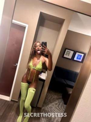 Exotic Ebony Stallion Petite Babe with 5-Star Service in Colorado Springs CO