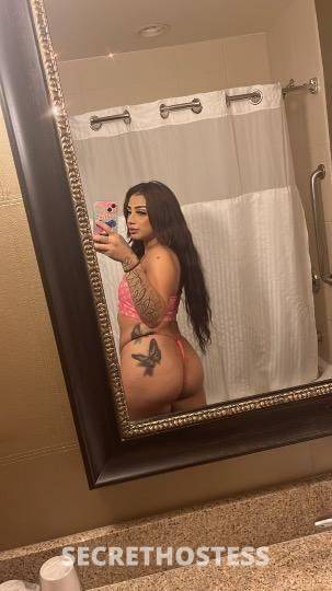27Yrs Old Escort York PA Image - 0